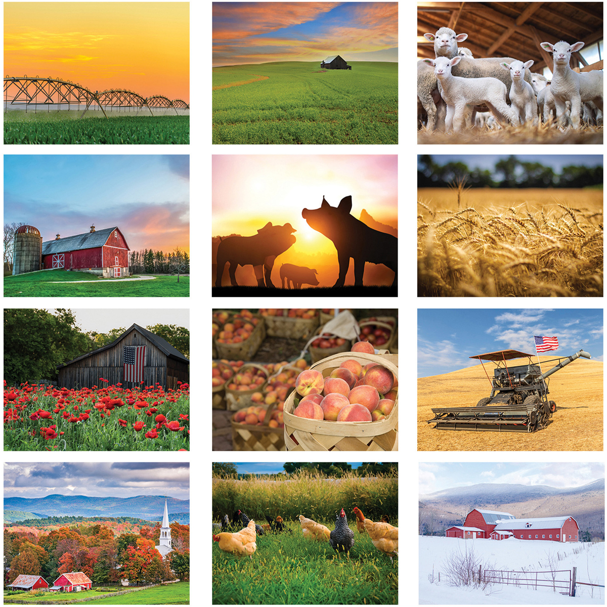 2025 American Agriculture (Spiral) Calendar 101/2" x 181/4