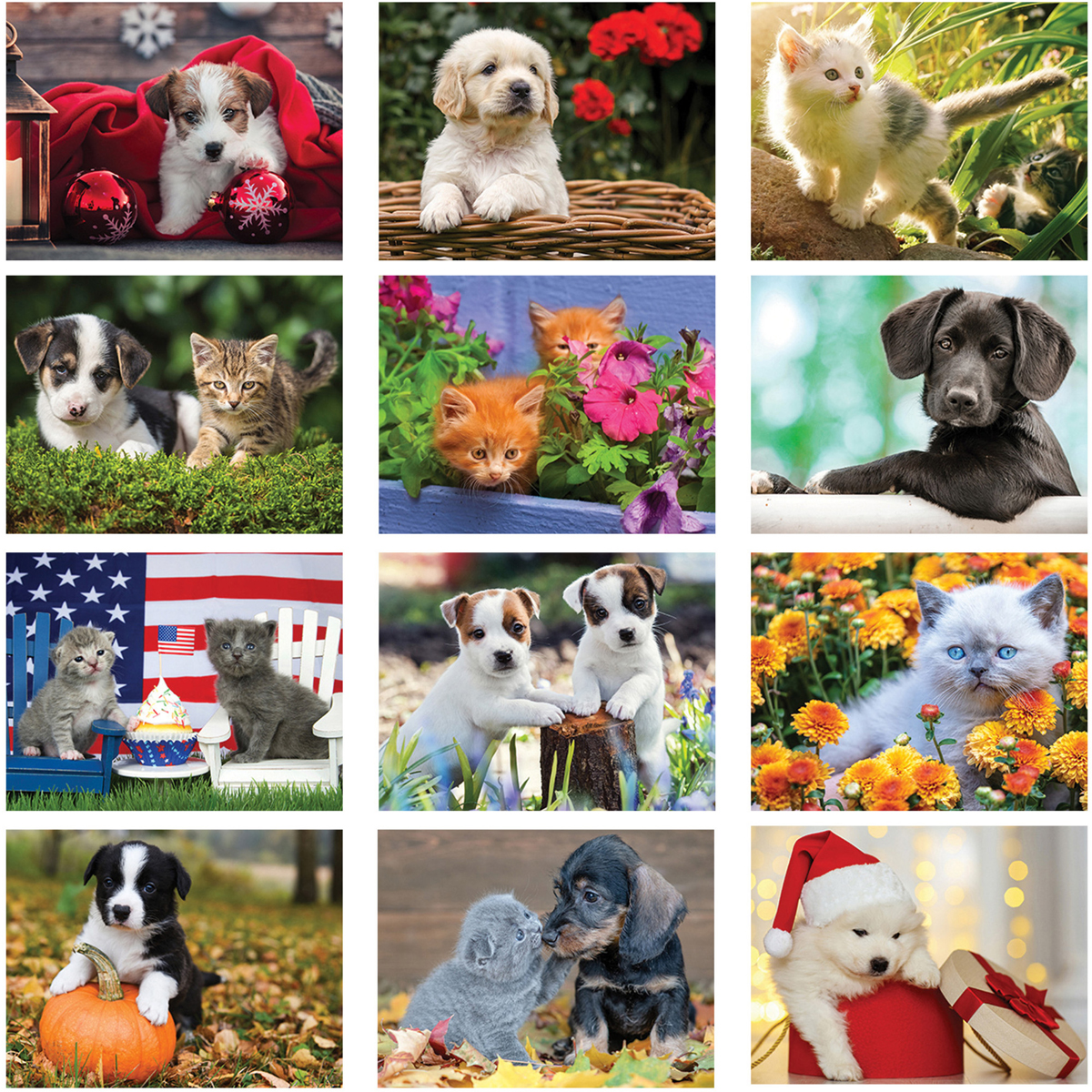 2024 Puppies & Kittens II Calendar 101/2" x 181/4" Customized