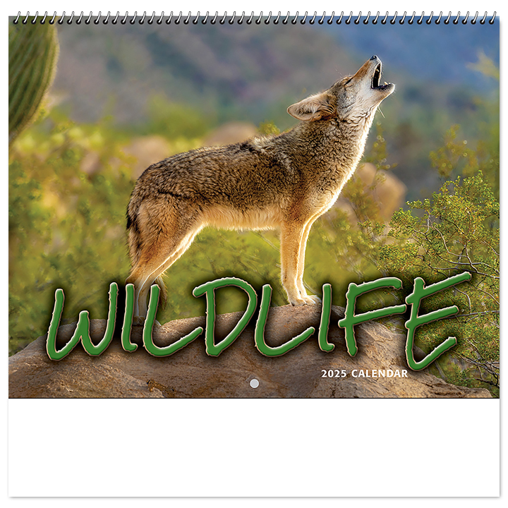 Wildlife Spiral Calendar