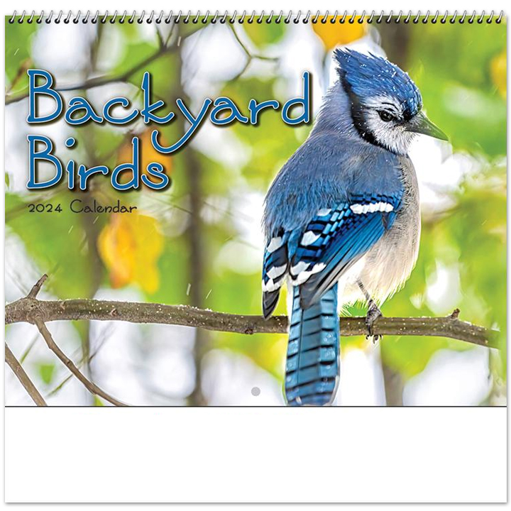 Backyard Birds Spiral Calendar