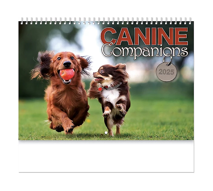 Canine Companions Spiral Wall Calendar  ValueCalendars.com