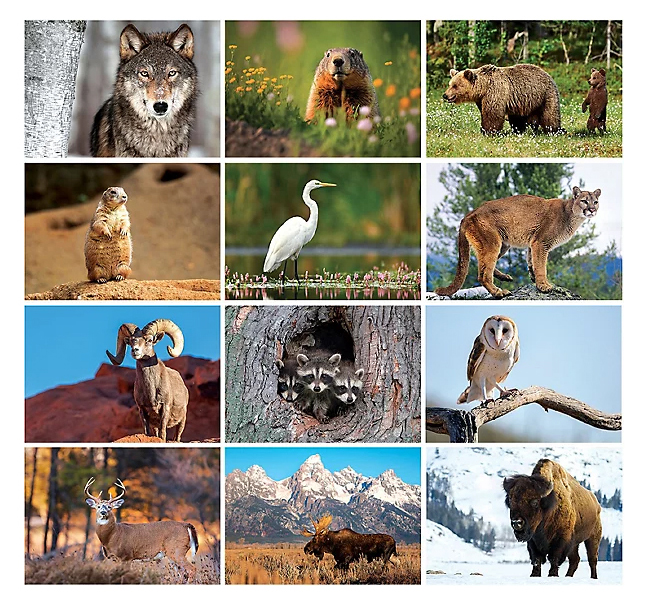 2025 Wildlife 6Sheet Desk Calendar 61/4" x 4" Custom Printed Tent