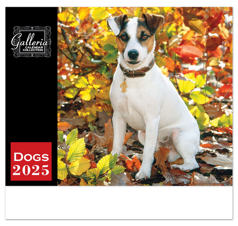 2025 Galleria Collection Dogs Calendar 10 5/8 quot x 18 1/2 quot Promotional