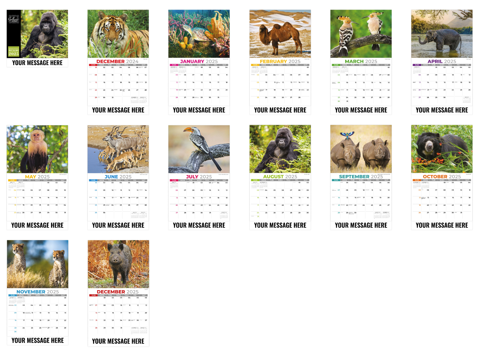 Wild Calendar 2024 Alison Louisa