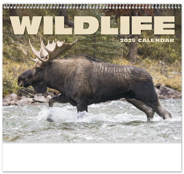 2024 Wildlife II (Spiral) Wall Calendar 107/8" x 18" Customized