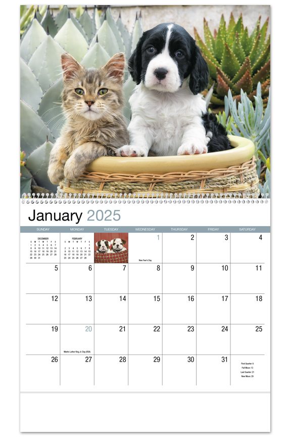 2024 Four Paws (Spiral) Wall Calendar 107/8" x 18" Promotional