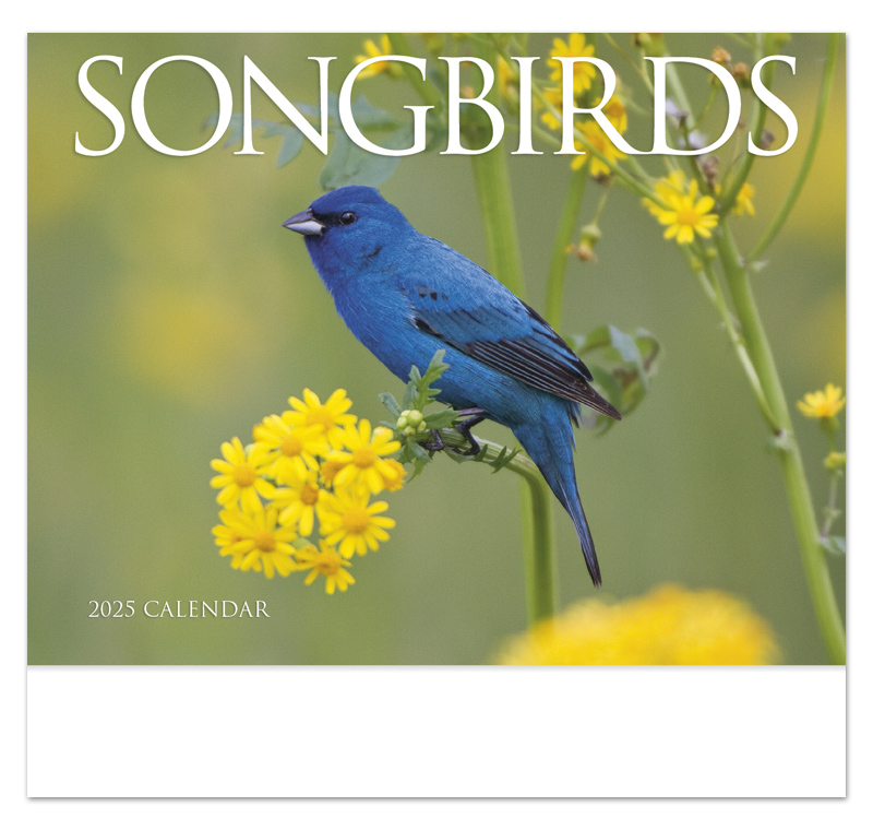 2024 Nature's Songbirds Promotional Wall Calendar 107/8" x 18