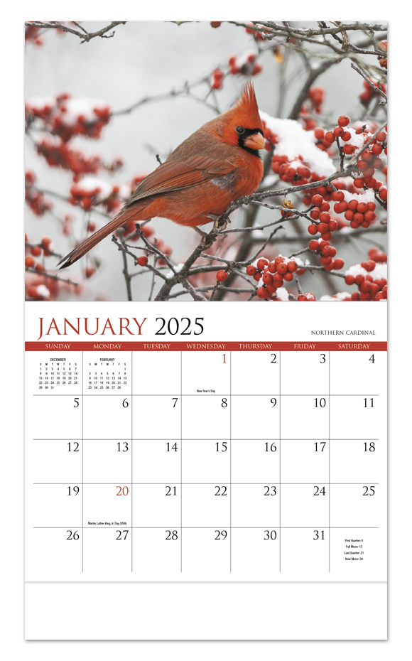 2025 Nature's Songbirds Promotional Wall Calendar 107/8" x 18