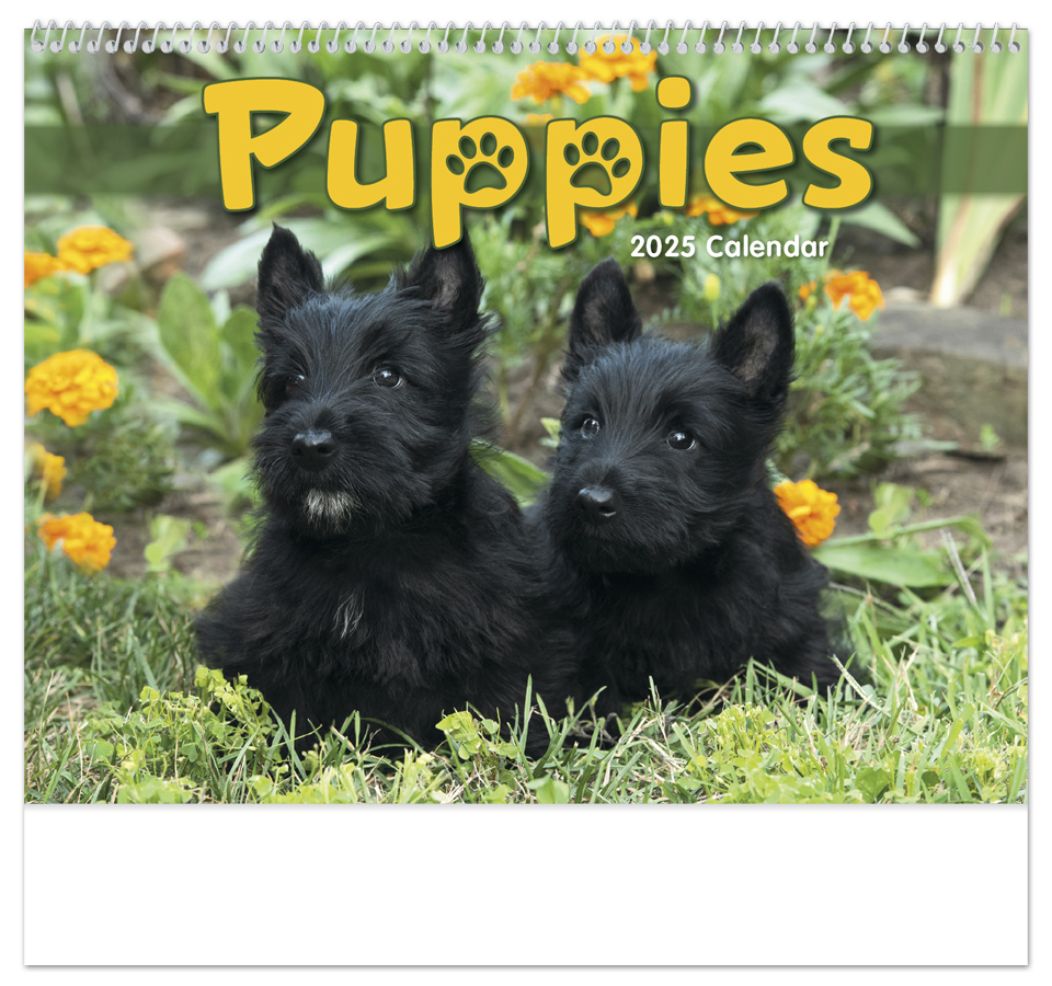 2025 Puppies Calendar  11" X 19" Imprinted Spiral Bound; Drop Ad Imprint Calendars  Dog Calendars