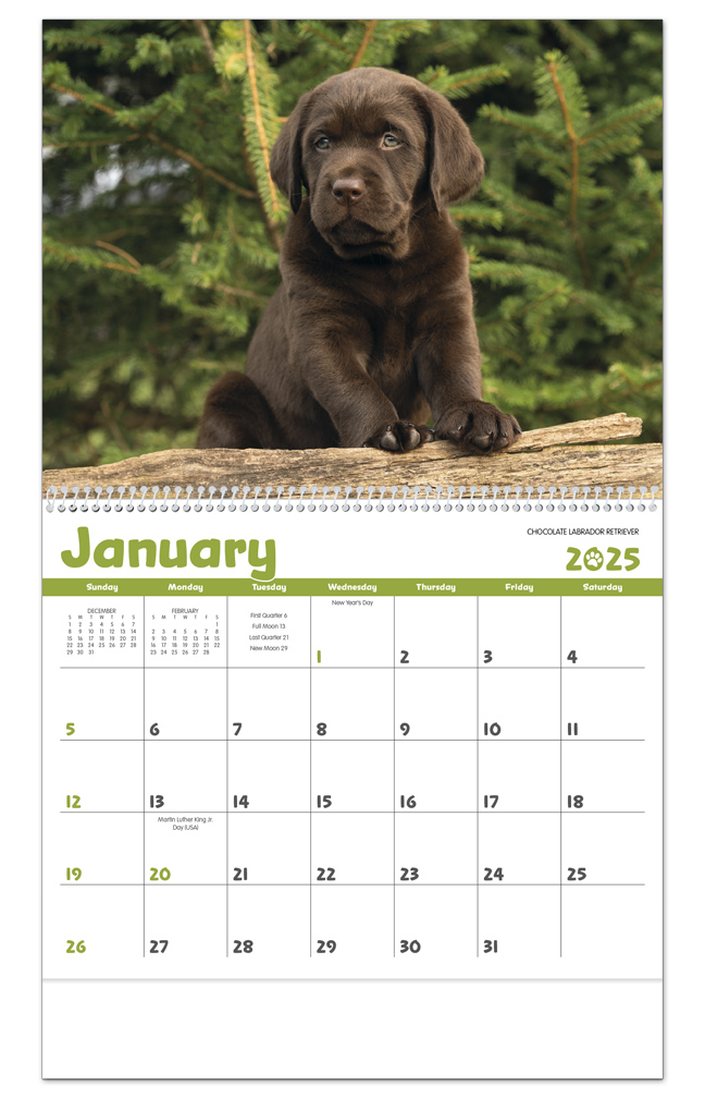 2025 Puppies Calendar 11 X 19 Imprinted Spiral Bound Drop Ad Imprint Calendars Dog Calendars