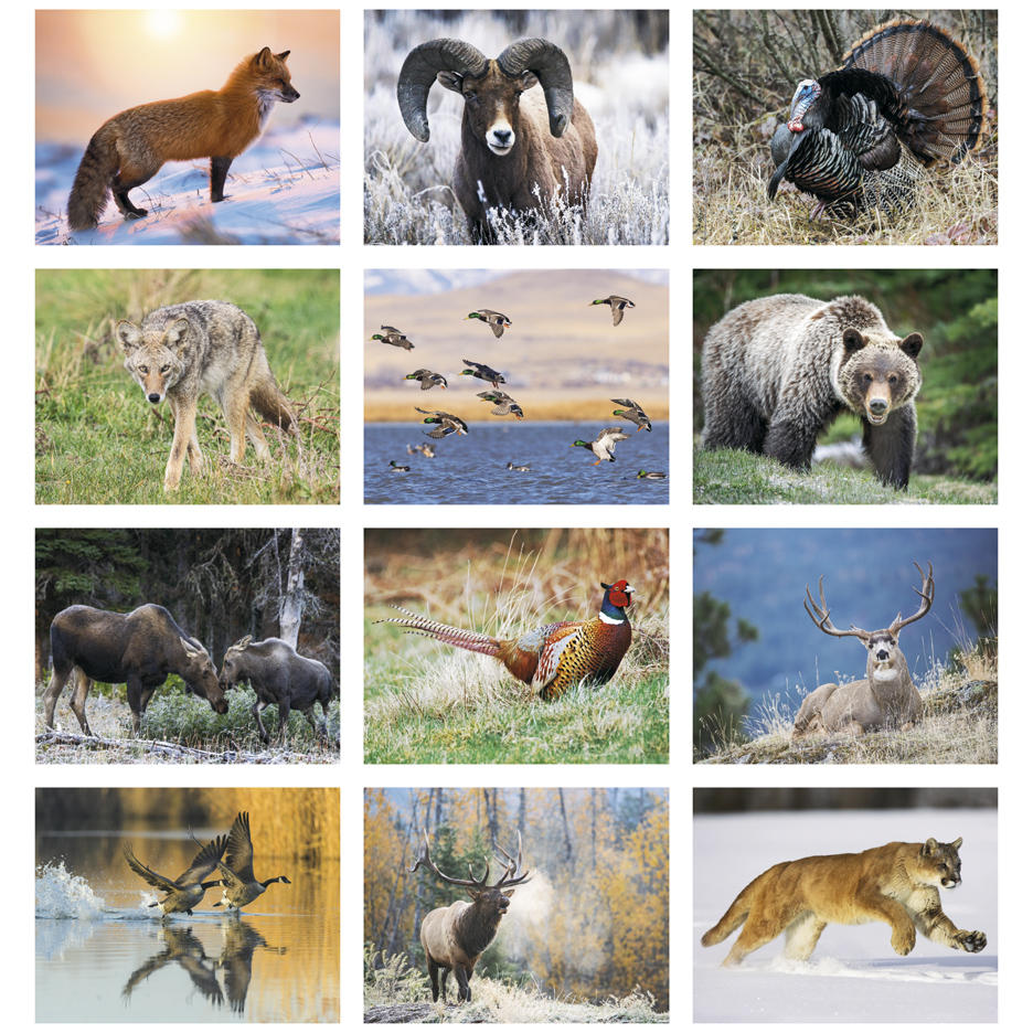 2024 North American Wildlife Calendar (1801) | 11" X 19" Imprinted