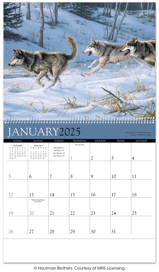 Free Wildlife Calendar 2024 Effie Gilberte