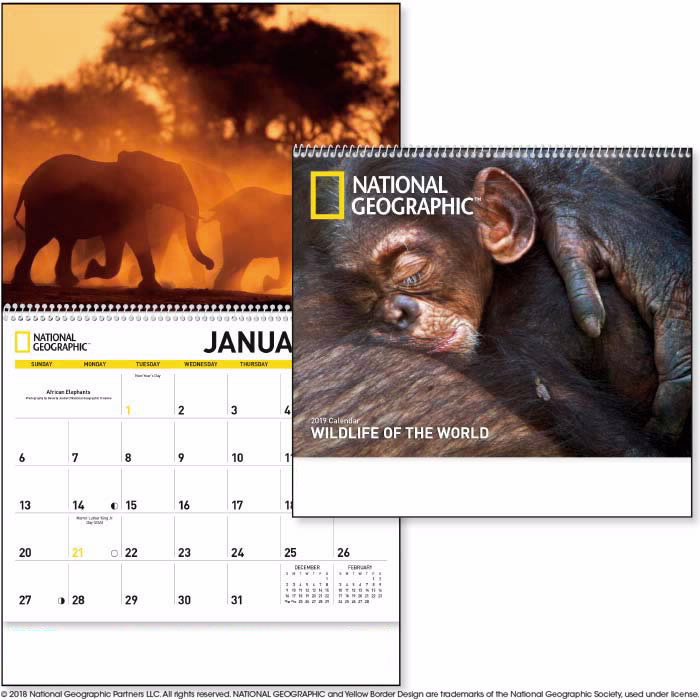 2019 National Geographic Wildlife of the World Calendar 11" X 19