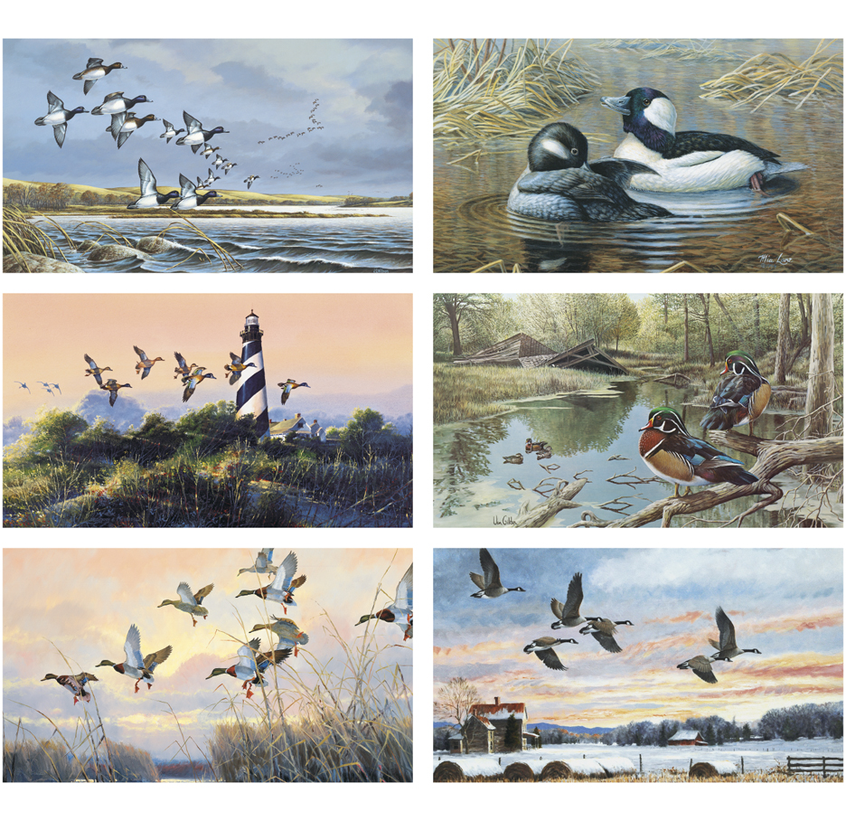 2025 North American Waterfowl Calendar 17" x 23" Imprinted 6Sheet