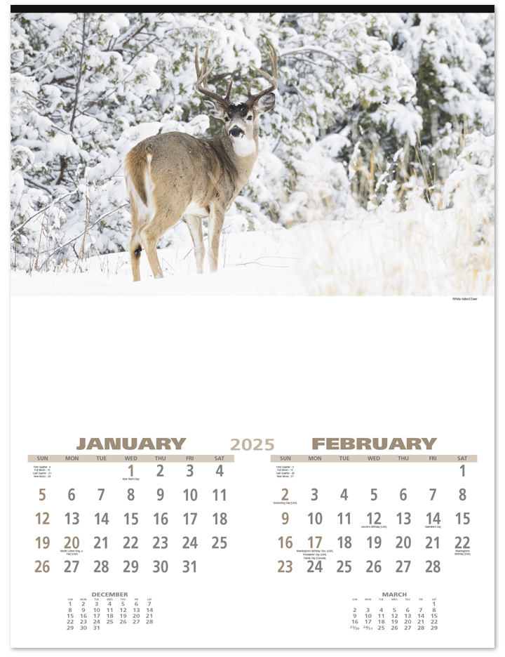 2025 Wildlife (6Sheet) Calendar 17" x 23" Imprinted 6Sheet Large