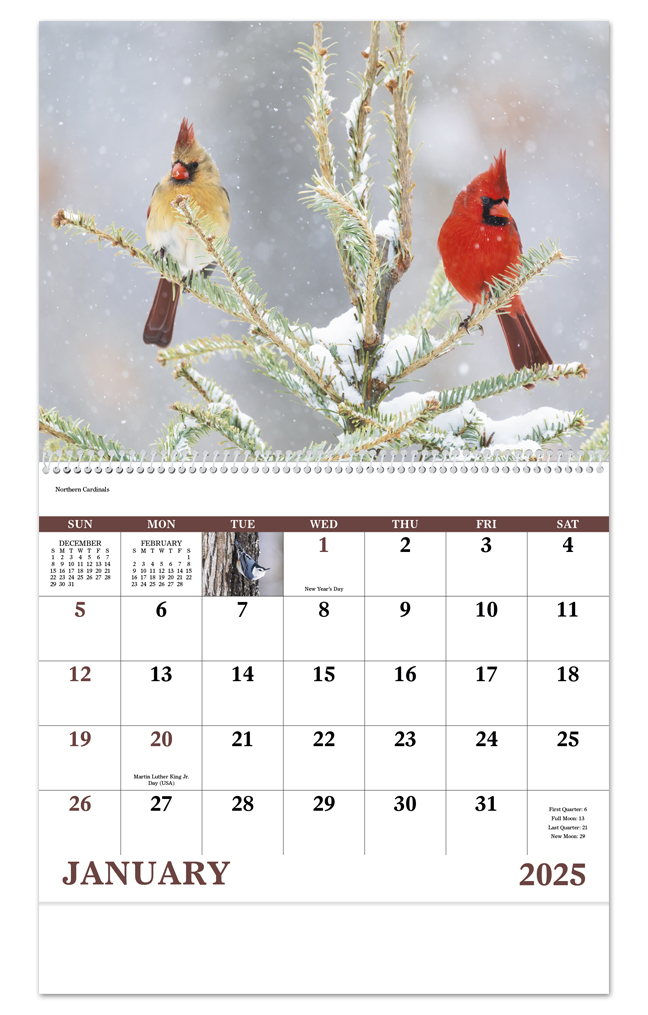 2024 Birds of North America Calendar 11" X 19" Imprinted Spiral Bound