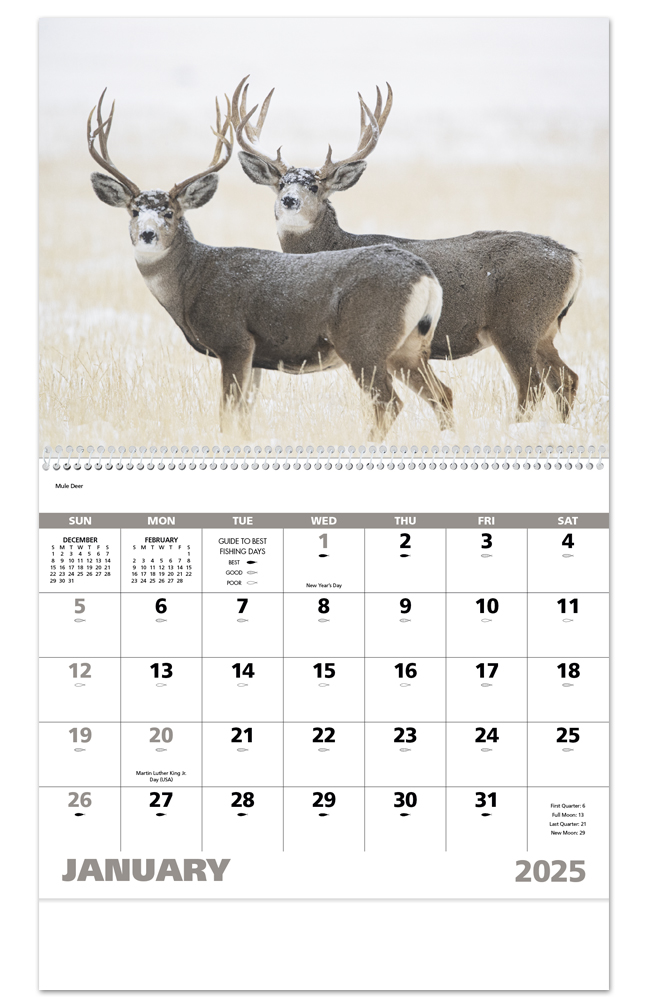 2024 Wildlife Portraits (Spiral) Calendar 11" X 19" Imprinted Spiral