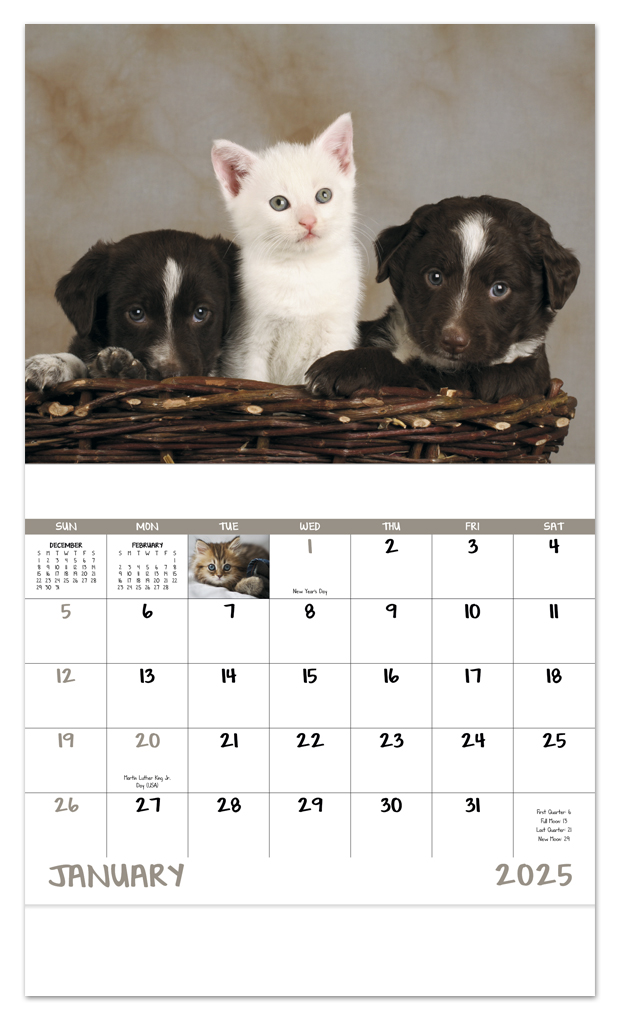 exploding kittens calendar