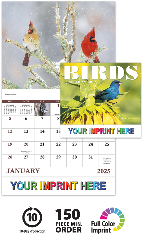 2025 Birds of North America Calendar | 11