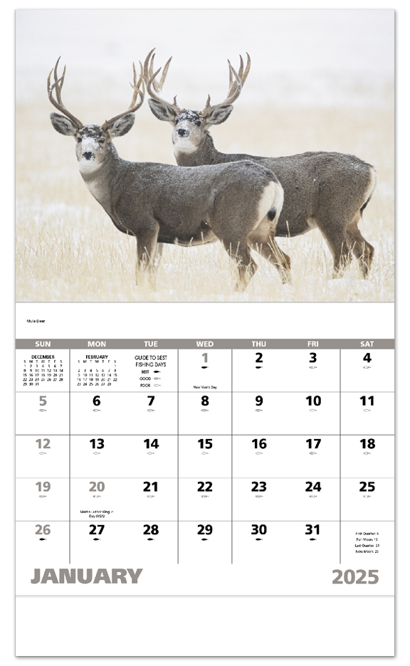 2025 Wildlife Portraits Calendar 11" X 19" Imprinted Staple Bound