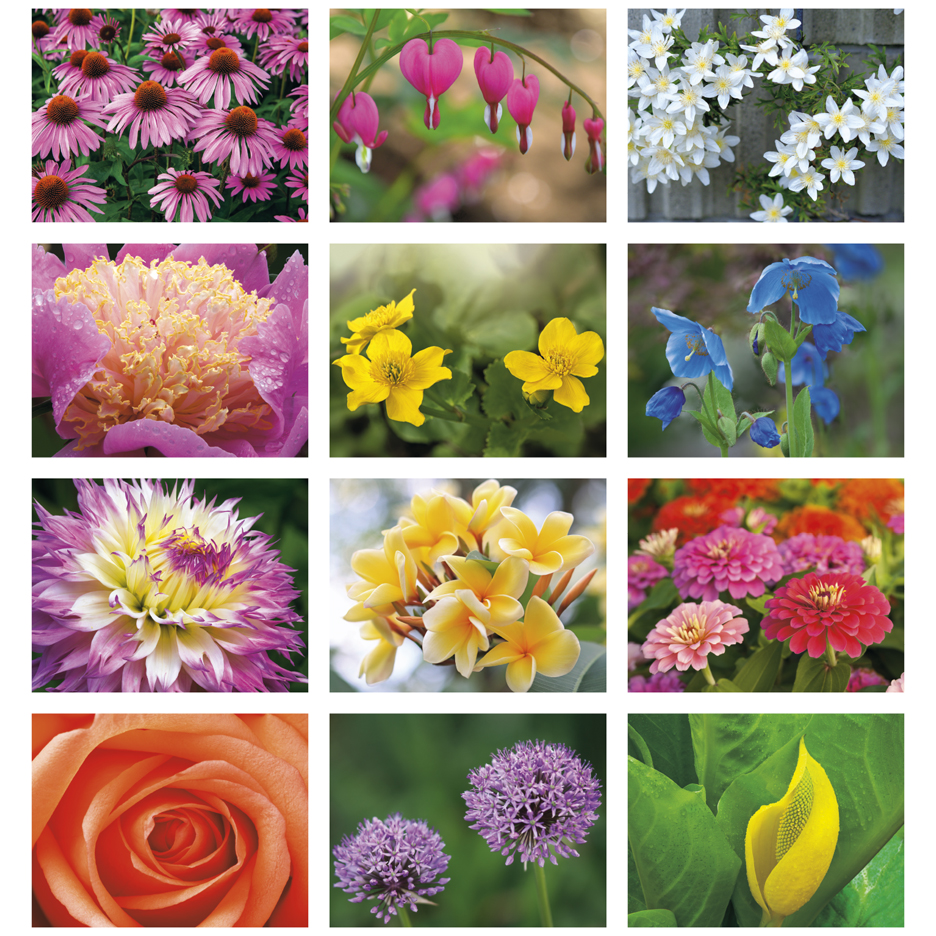 Flowers Wall Calendar