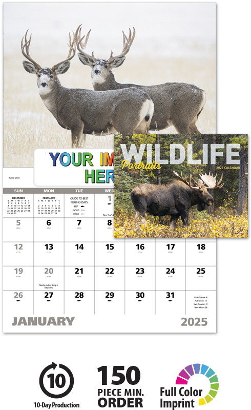 2024 Wildlife Portraits (Window) Calendar | 11" x 17" Imprinted Window