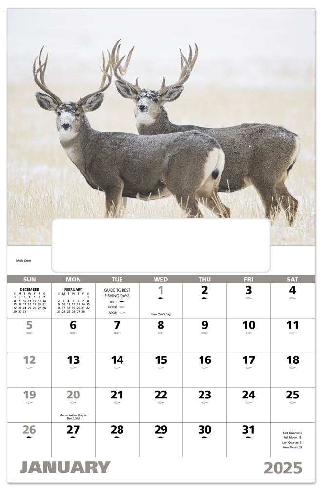 2025 Wildlife Portraits (Window) Calendar 11" x 17" Imprinted Window