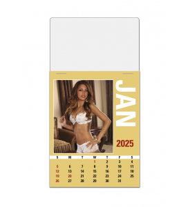 2025 Maiden America Press n Stick Calendar Approx. 3