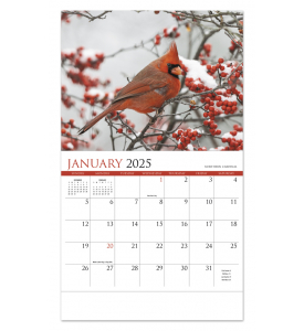 2025 Nature's Songbirds Promotional Wall Calendar | 10-7/8