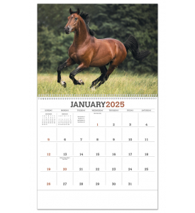 2025 Horses Calendar  11" X 19" Imprinted Spiral Bound; Drop Ad Imprint Calendars