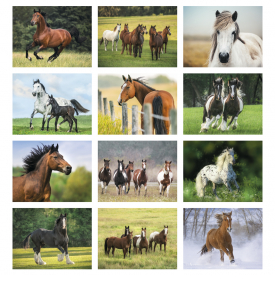 2025 Horses Calendar  11" X 19" Imprinted Spiral Bound; Drop Ad Imprint Calendars