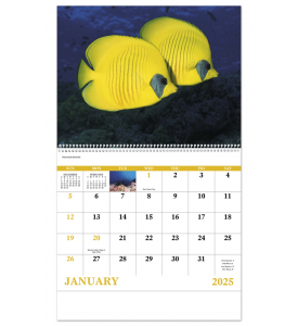 2025 Ocean Glory (Spiral) Calendar | 11