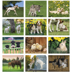 2025 Baby Farm Animals (Spiral) Calendar | 11