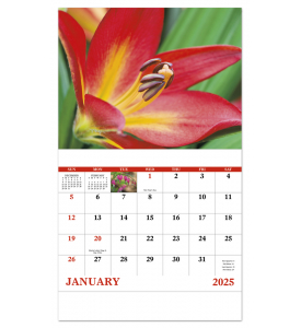 Flowers Wall Calendar | ValueCalendars.com