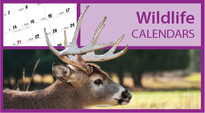 Promotional Wildlife Calendars https://www.valuecalendars.com/products/standard_imprinted_calendars/promotional_wildlife_calendars